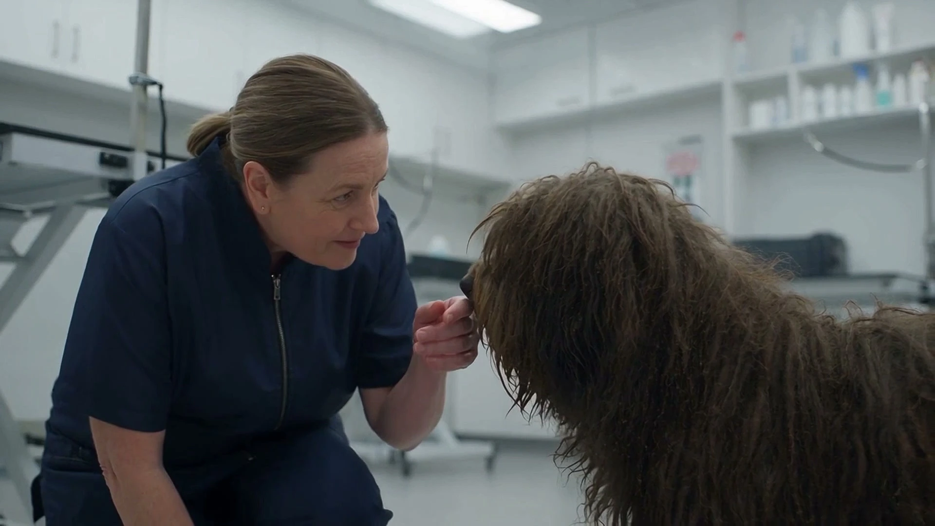 Robyn Ellery at Mophead Dog Grooming
